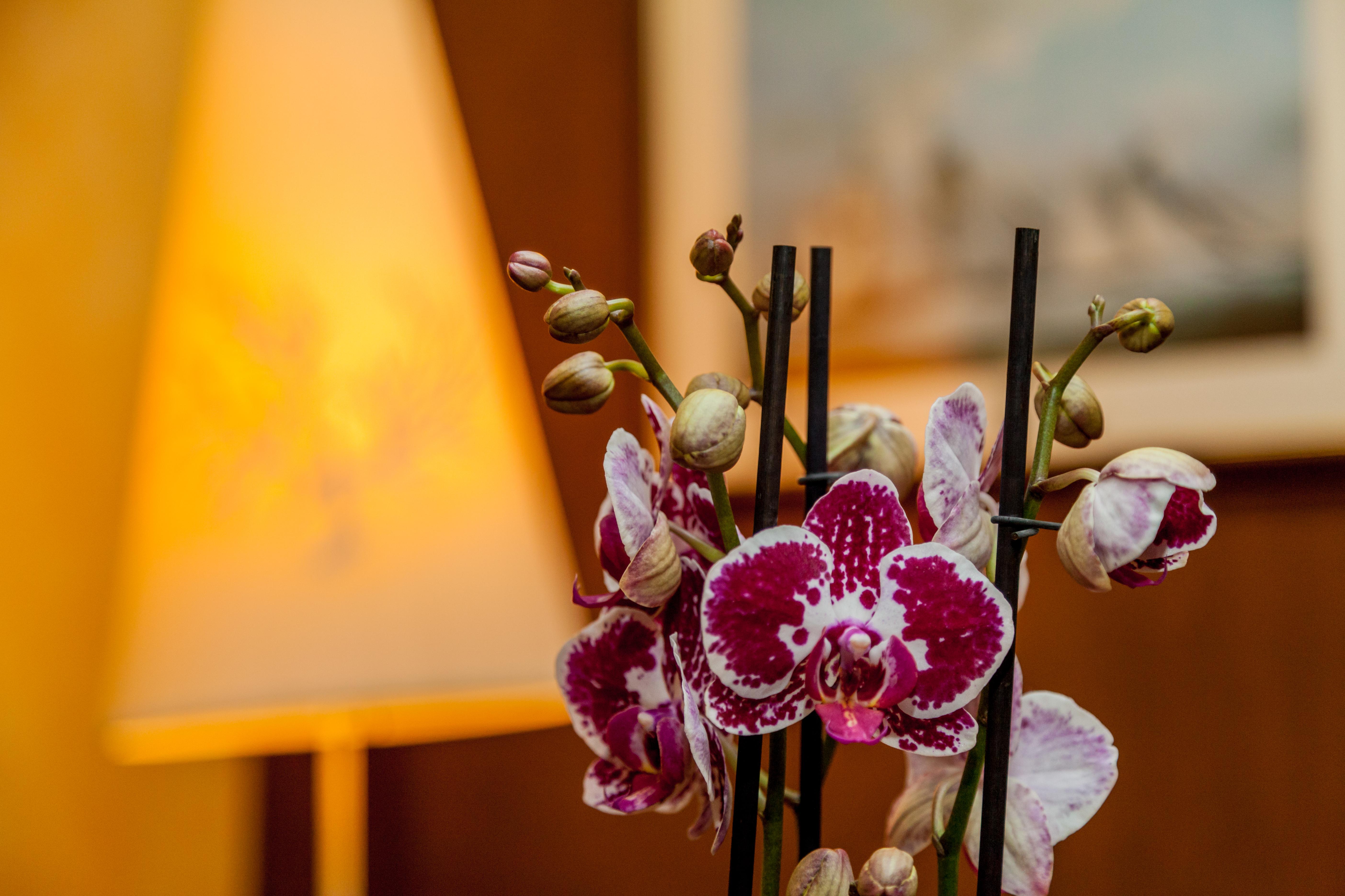 La Vecchia Fonte Boutique Hotel Palau Kültér fotó